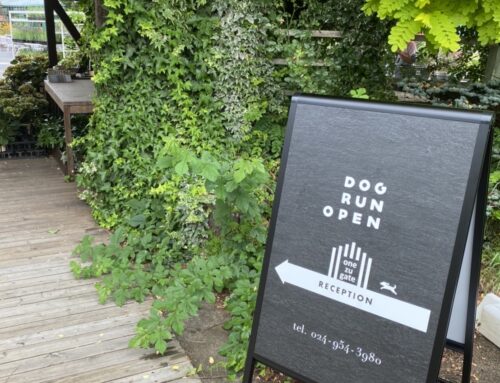 店休日のお知らせ