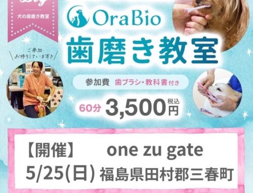 Ora Bio 歯磨き教室