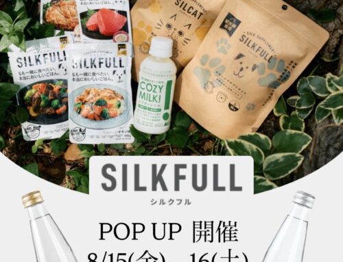8/15~16　シルクサプリ　POP UP