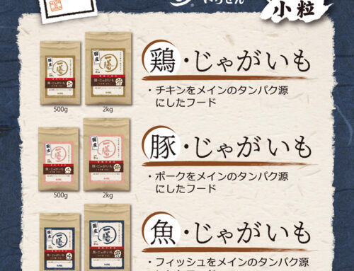 8/30　Dr.PRO 一膳ごはん販売会
