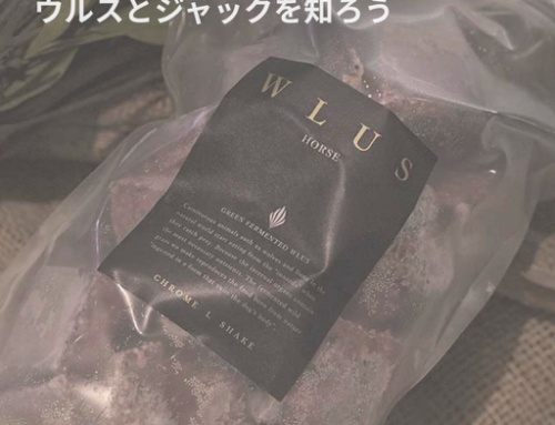 皆さんなら、どちらを選びますか？🥣