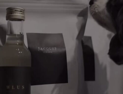 わが子の為の選択