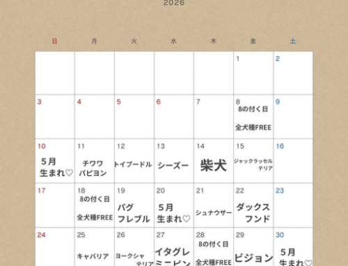 ５月もドッグラン犬種別無料DAY開催します!!