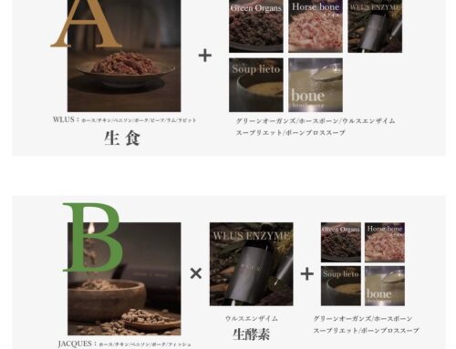 お腹も心もいっぱいになるごはん