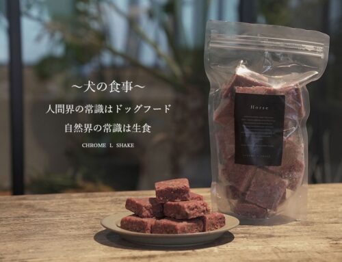 わが子との限られた時間を もっと豊かに