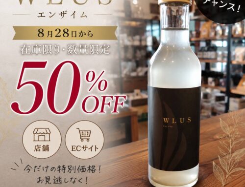 WLUS　エンザイム　５０％ＯＦＦ！！
