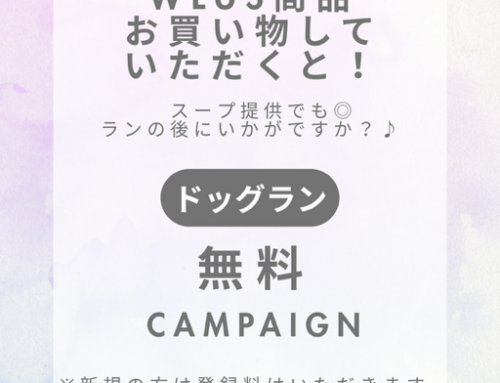 好評につき延期します！！