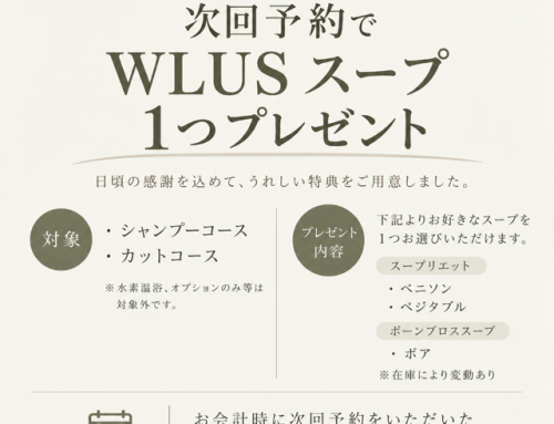 【10月キャンペーンのご案内】
