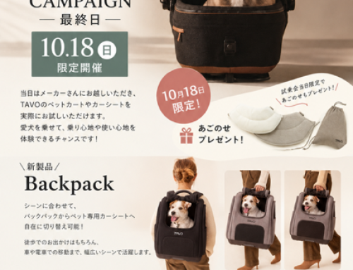 TAVO 試乗会  CAMPAIGN